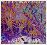 CURRENT 93 Where The Long Shadows Fall (Beforetheinmostlight) CD