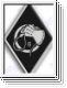 DEATH IN JUNE Whiphand Patch Raute