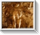 HERBST9 Buried Under Time And Sand CD