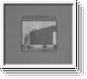 ANENZEPHALIA Anenzephlia CD