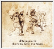 STURMPERCHT Strm ins Leben wild hinein! CD