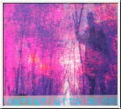 SIXTH COMM. / MOTHER DESTRUCTION Content With Blood CD