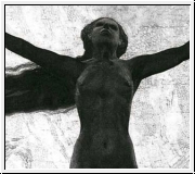 DIE WEISSE ROSE A Martyrium Of White Roses CD