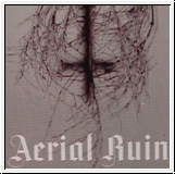 AERIAL RUIN Sticker