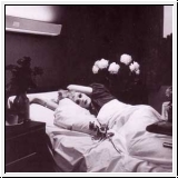 ANTONY AND THE JOHNSONS I Am A Bird Now CD