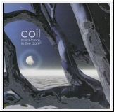 COIL Musick To Play In The Dark Vol.2 2LP Col. Vinyl Re-Release
