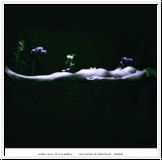 KIRLIAN CAMERA Invisible Front. 2005 2CD