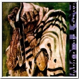 SIXTH COMM / MOTHER DESTRUCTION Asylum CD