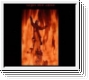 LEGER DES HEILS Himmlische Feuer CD