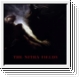 V/A The Nitha Fields CD