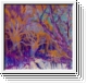 CURRENT 93 Where The Long Shadows Fall (Beforetheinmostlight) CD