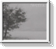 :WERRA: MMI - MMV - Revisited CD
