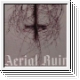 AERIAL RUIN Sticker