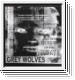 THE GREY WOLVES Age Of Dissent Age Of Dissent CDR