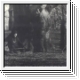 SIXTH COMM / MOTHER DESTRUCTION Fruits Of Yggdrasil CD