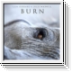 LISA GERRARD & JULES MAXWELL Burn LP