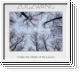 ZUGZWANG Under The Shade Of The Leaves CD