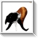 COIL Black Antlers CD