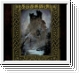 WAELTAJA Beholding The Ruins Of My Kingdom CD