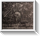 COLD PROPHET Intentio Exitus CD